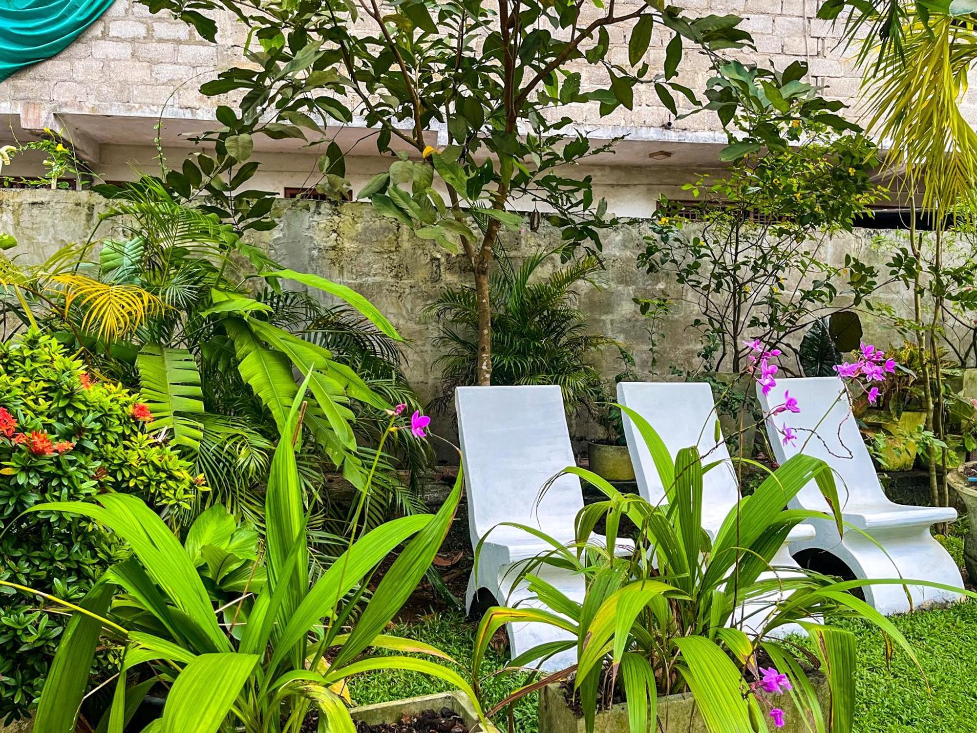 Galle Camellia Eksteriør billede